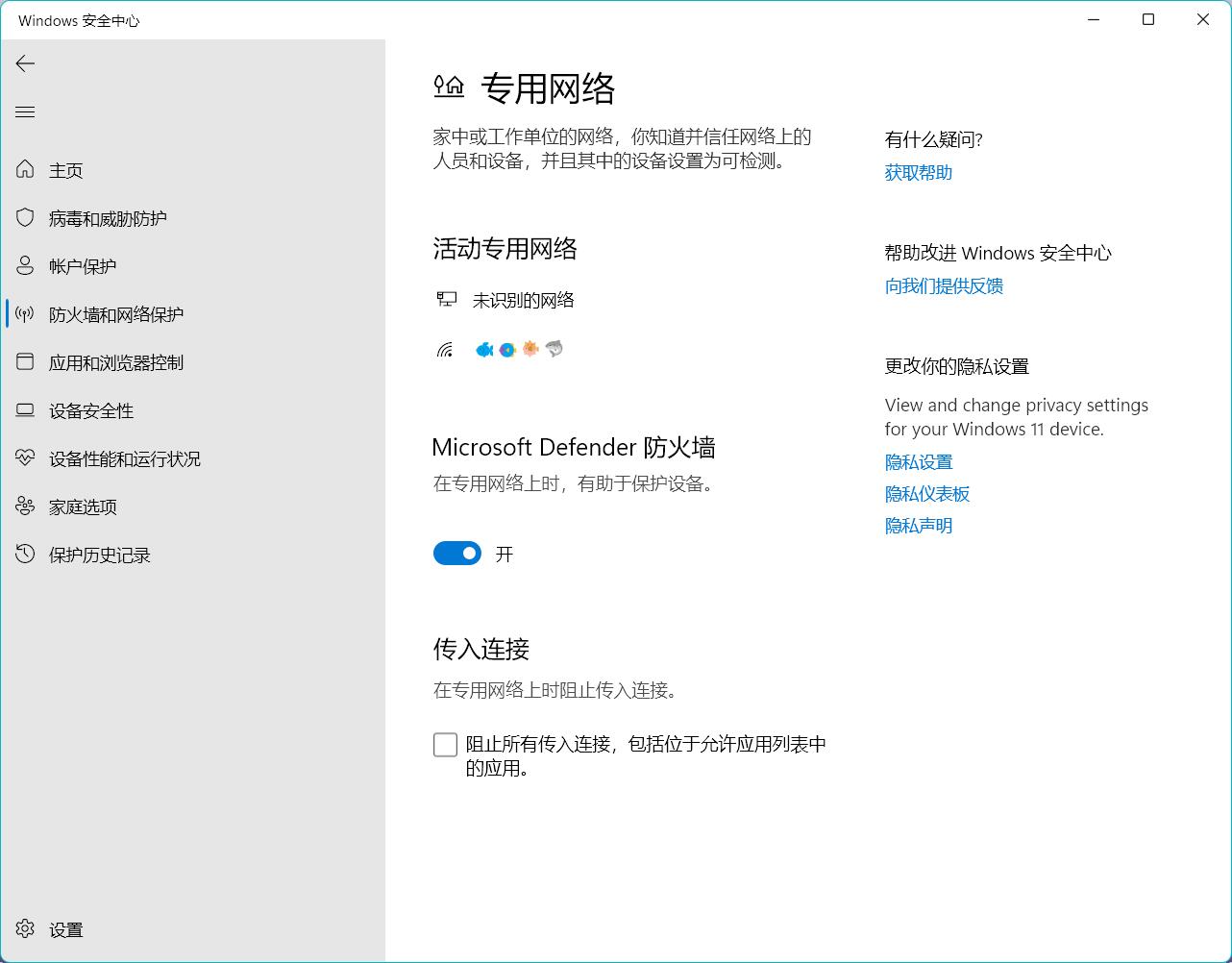 Windwos Firewall Private Network